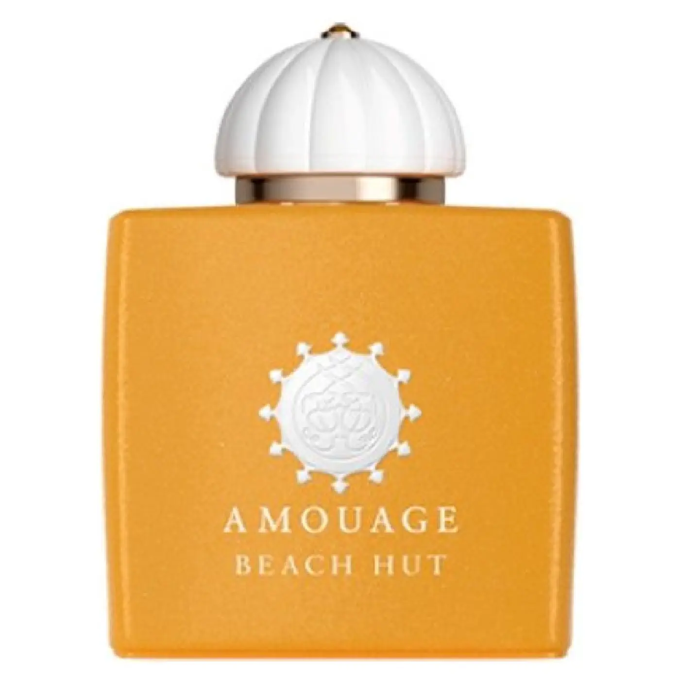 AMOUAGE-BEACH-HUT-W-EDP-100ML